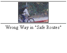 Text Box:    Wrong Way in 'Safe Routes'  